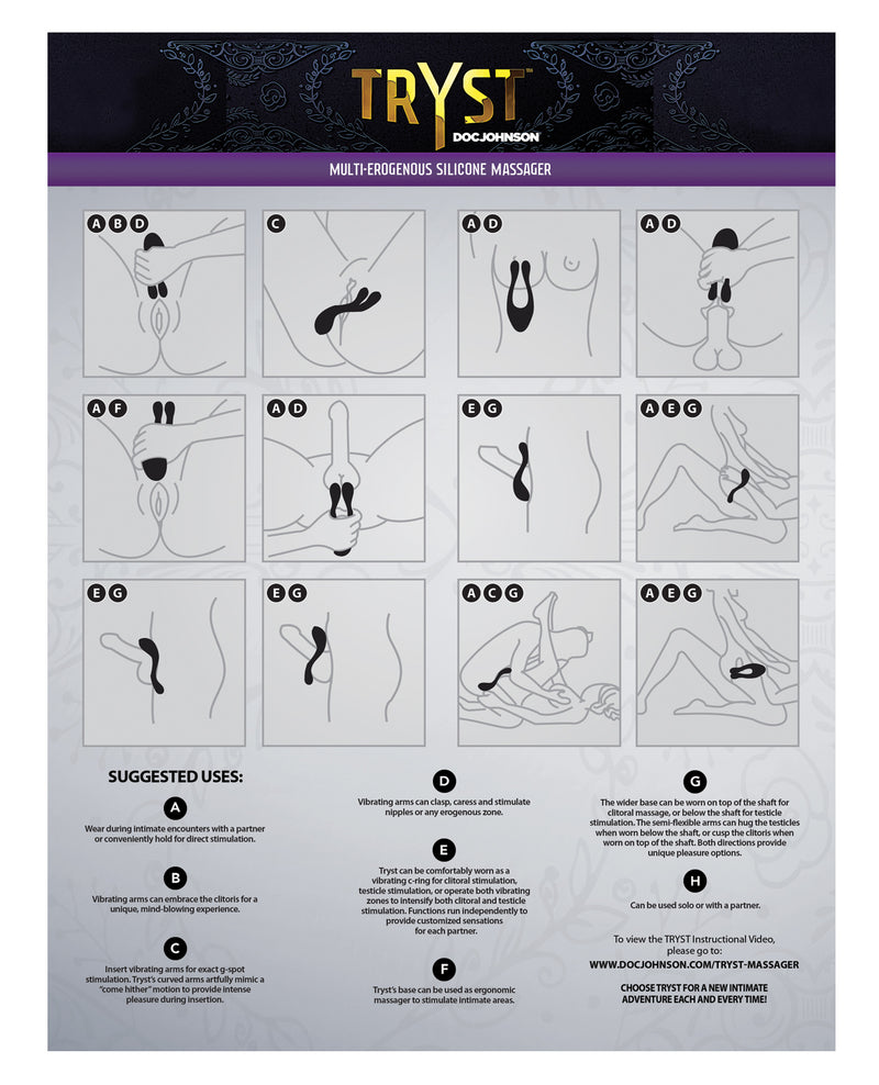 PROMO Tryst Diagram Poster