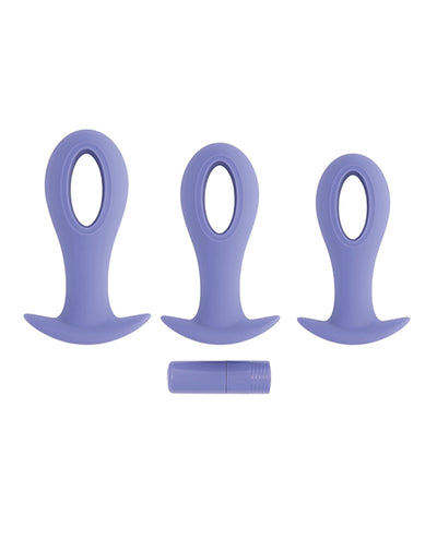 Evolved Hole Punch Anal Plug Set - Purple  Set of 3
