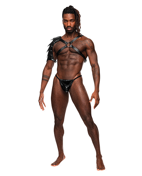 Body Harnesses